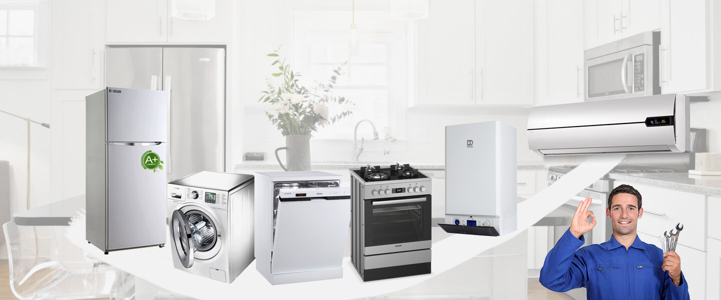 Pazar Electrolux Servisi